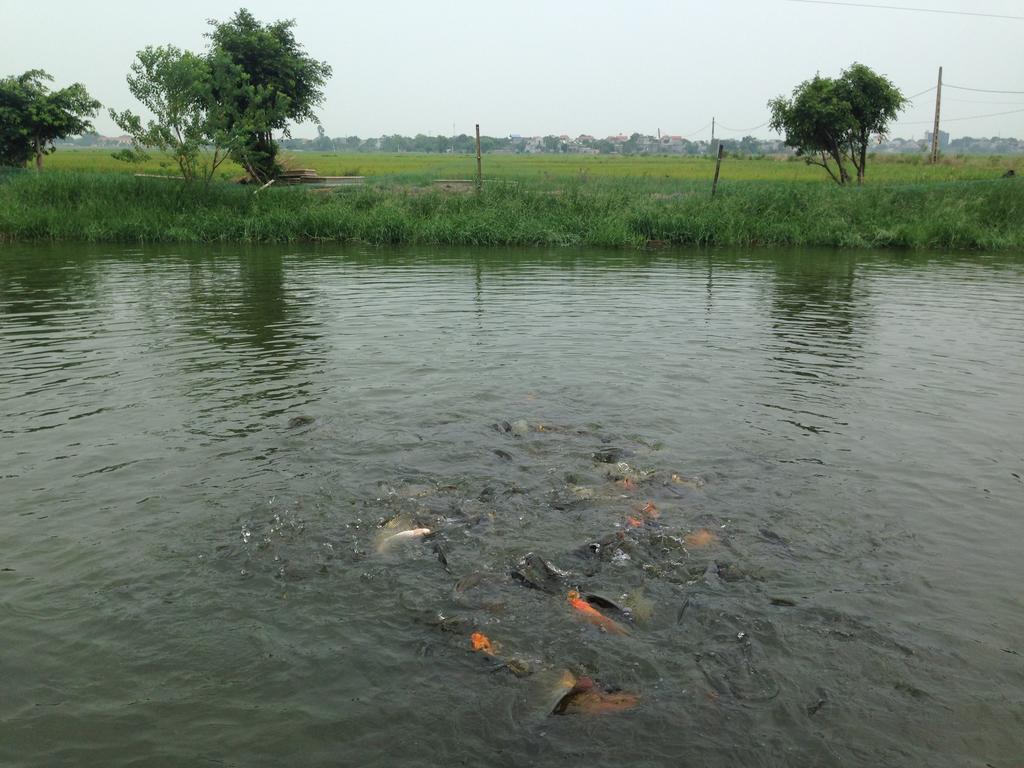 Tam Coc Homestay Ninh Bình Kültér fotó