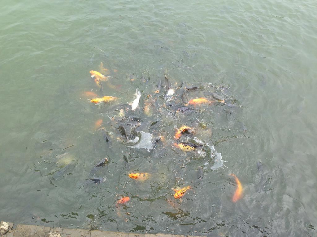 Tam Coc Homestay Ninh Bình Kültér fotó