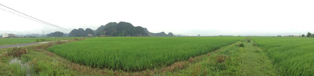 Tam Coc Homestay Ninh Bình Kültér fotó