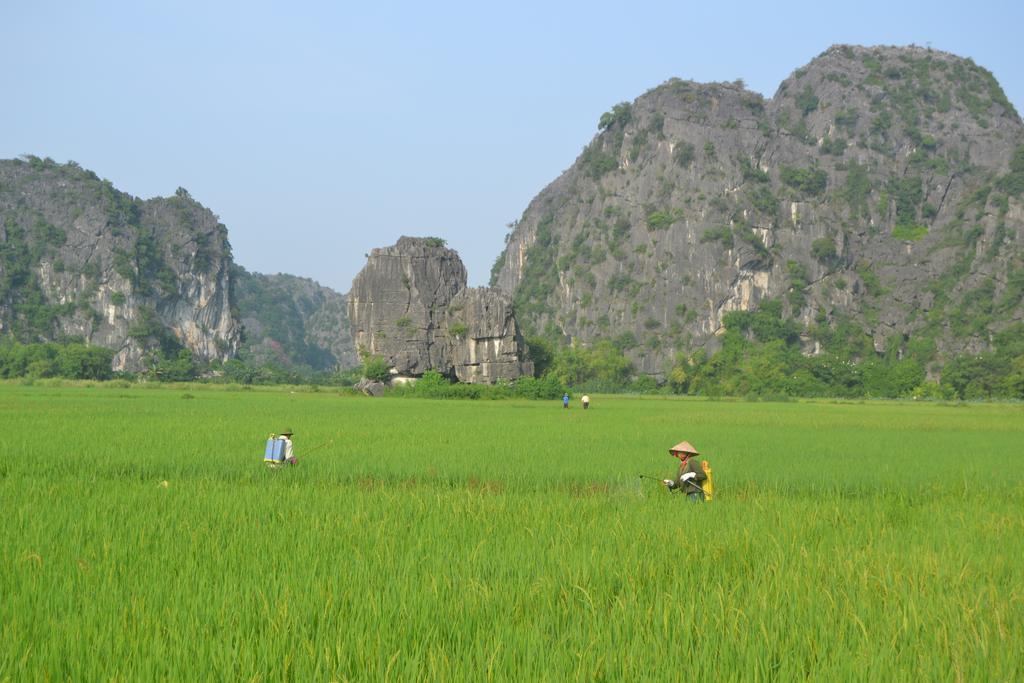 Tam Coc Homestay Ninh Bình Kültér fotó